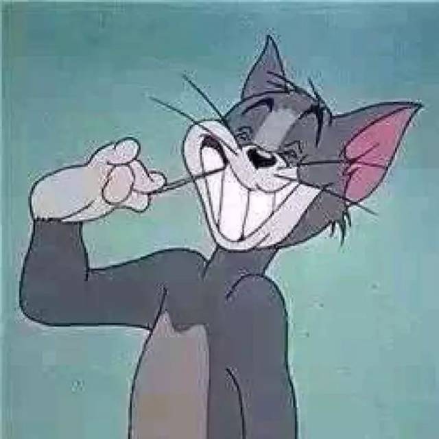 宠物狗养殖设施：打造温馨家园的关键要素