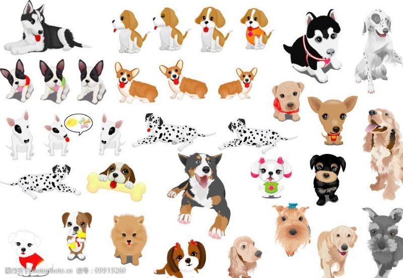 有家教的宠物狗：培养忠诚与和谐的家庭伙伴