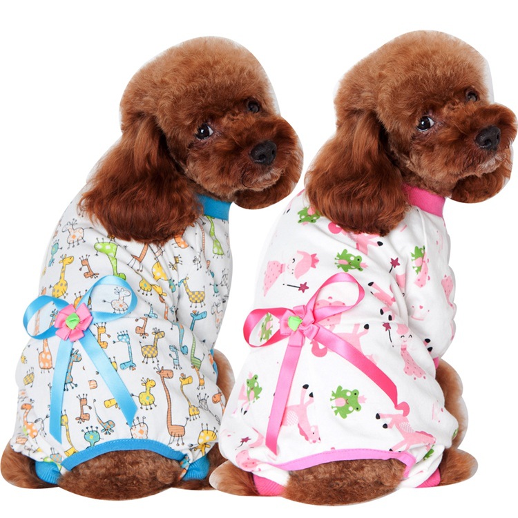 广安批发宠物狗市场：寻爱之地，宠物的温馨港湾